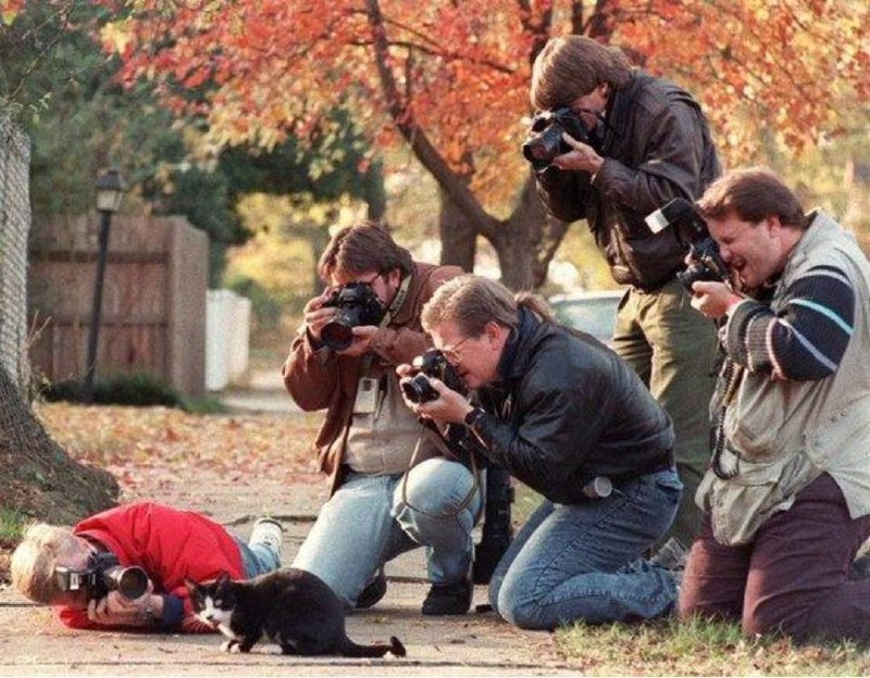 Paparazzi photograph Bill Clinton's cat, 1992.