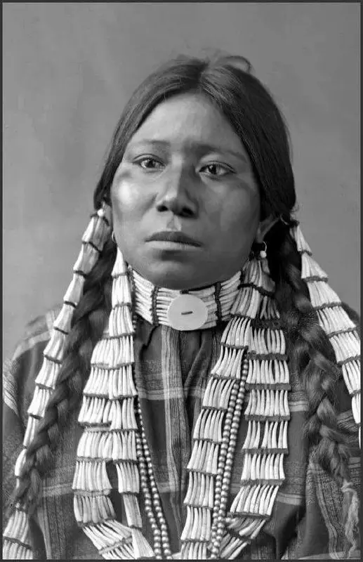 Lakota Woman is a memoir by …