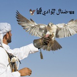 توجـيه يـلـف تـيـلي. ***?******?******?******⭐️******?***