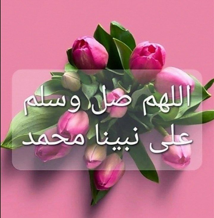 🌸 أجمــل الصــور والعبارات🌸