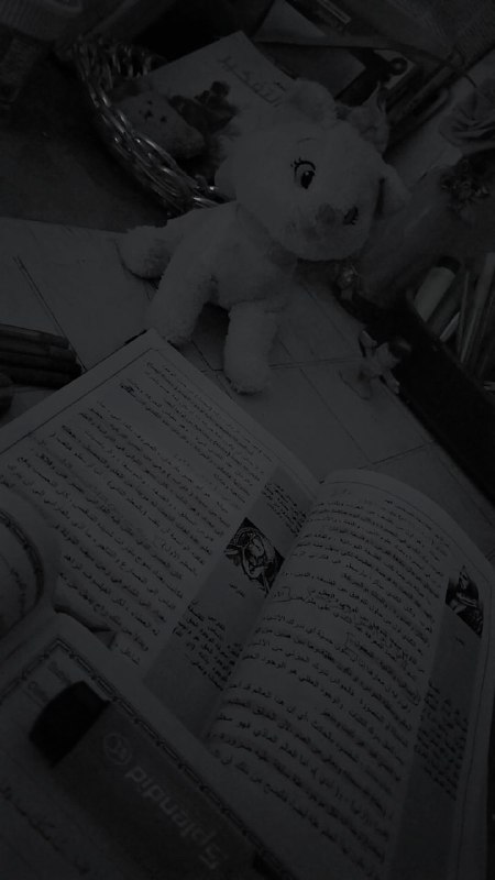 نحو النجاح 🎓📜