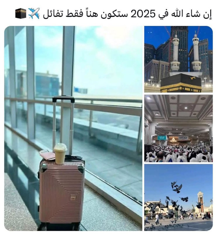 حمامة الحرم 🕊🕋