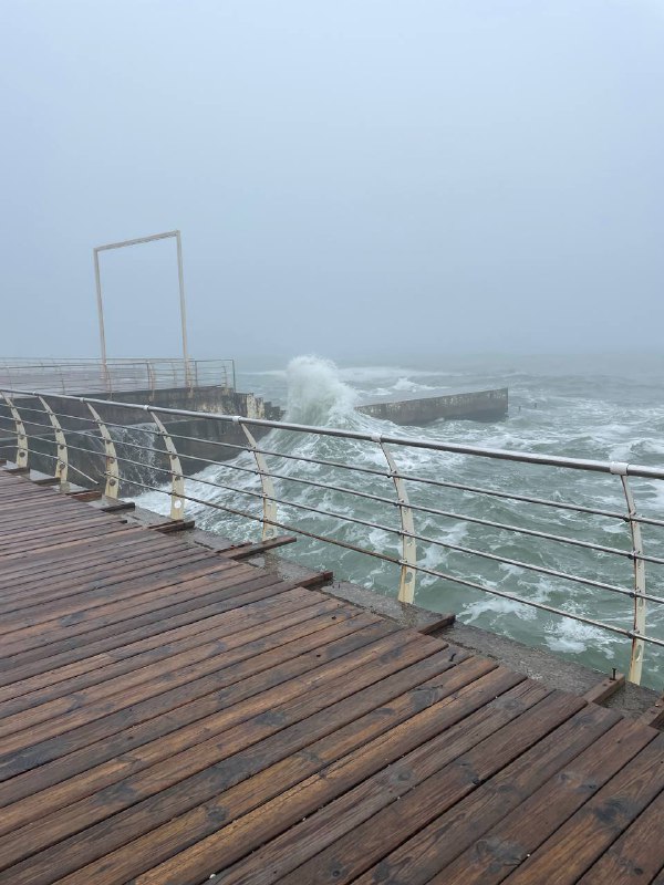 гнила липа🌊