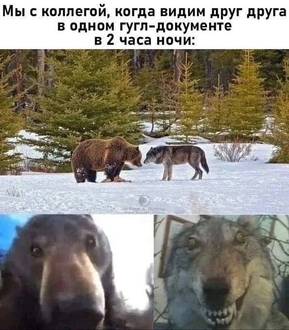 Хоба!