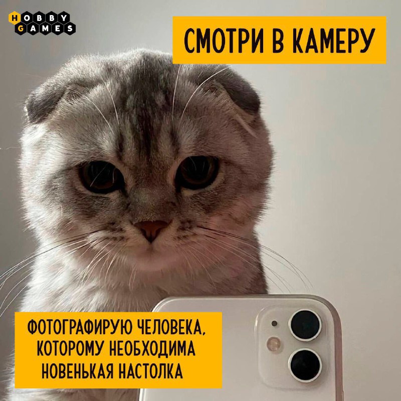 ***📸*** Улыбнитесь! Вас снимает котик ***👀***