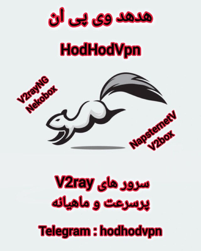 ***🐿*** سرویس سنجابک راه اندازی شد …