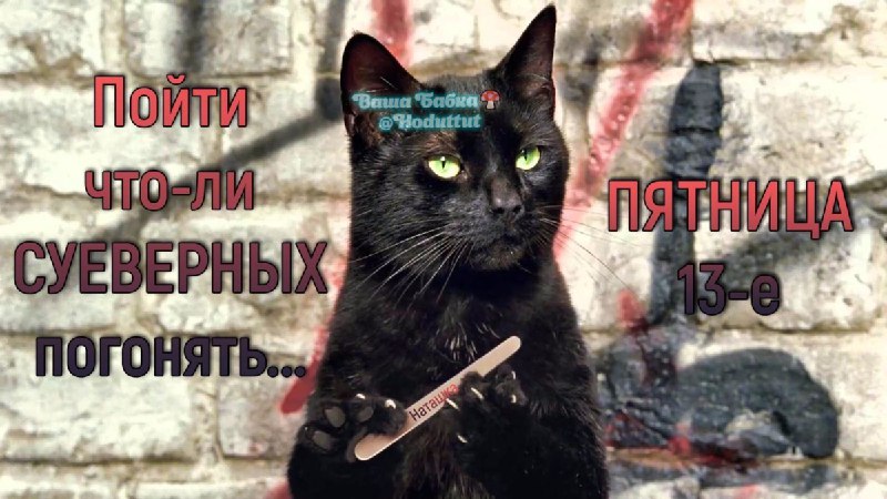 Пятница тринадцатое — предъявляем черных котиков!***☝️******😸***