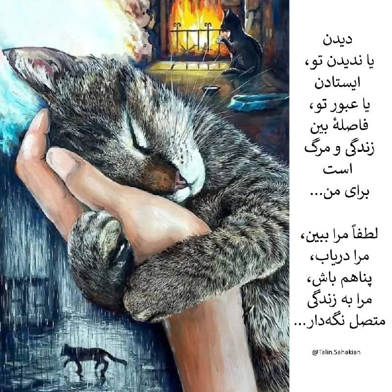 حقوق حیوانات