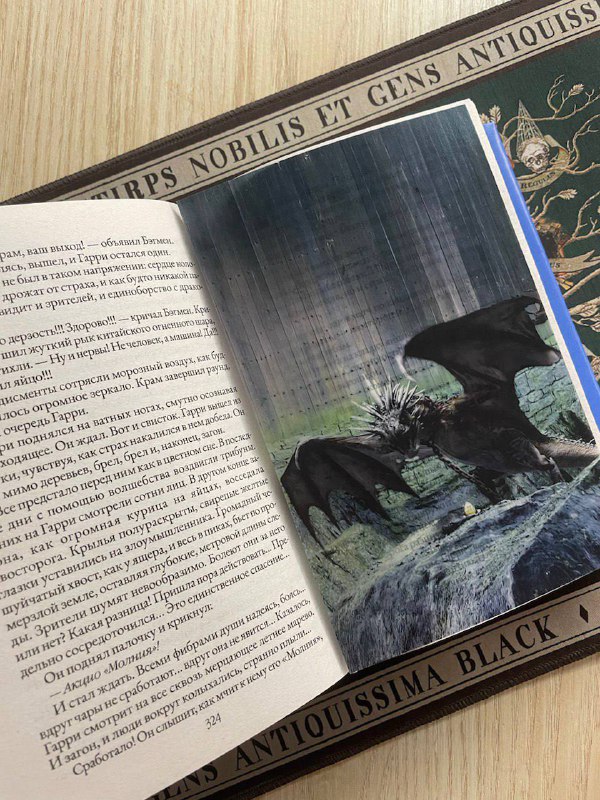 Только Валерия х Hogwarts Spectator 📰