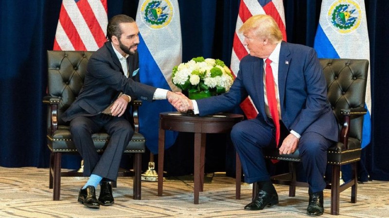**Nayib Bukele disposto a receber criminosos …