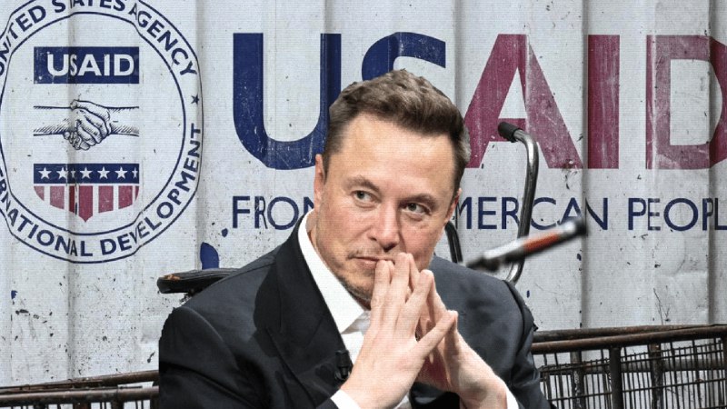 **O caso USAID e a guerra …