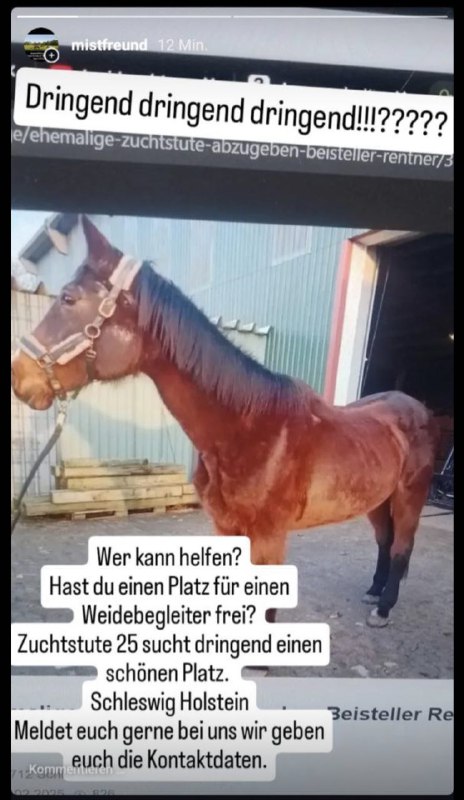 Und wenn ihr möchtet könnt auch …