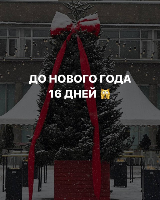 **До нового года 16 дней, обалдеть …