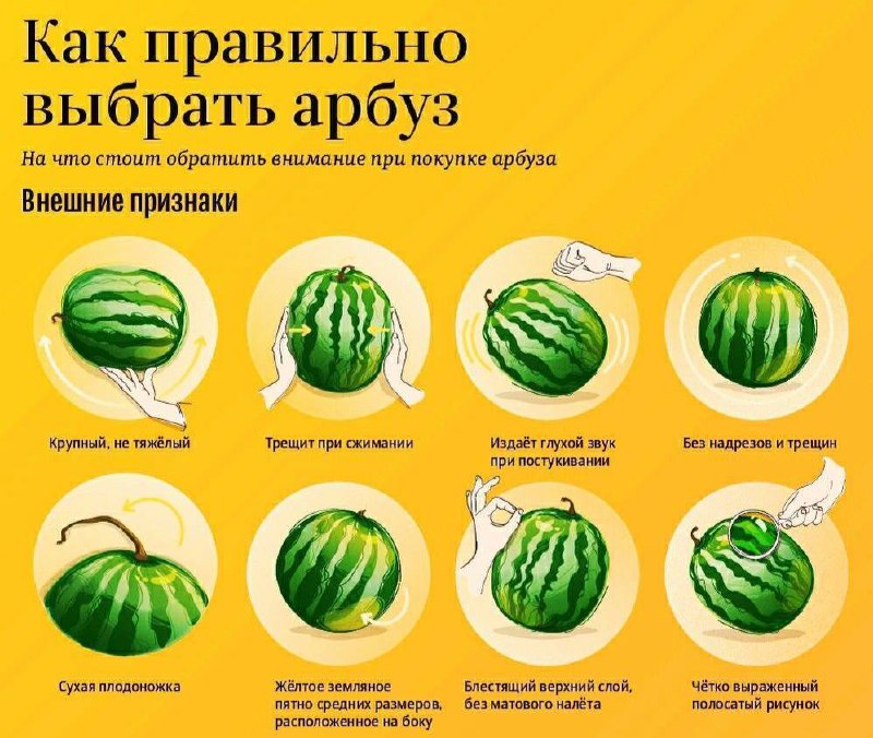 Как правильно выбрать арбуз ***🍉***