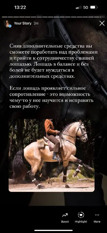 Биомеханика лошади