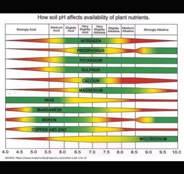 Check your soil pH.. ***?***