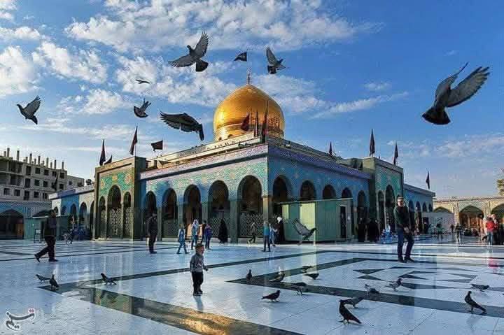 **فكد كيدك واسعَ سعيك وناصب جهدك …