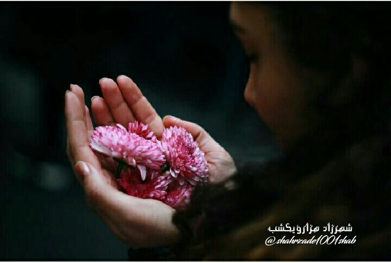 صفائی بود دیشب