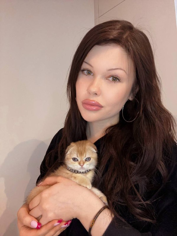 На сегодня с обновлениями всё!