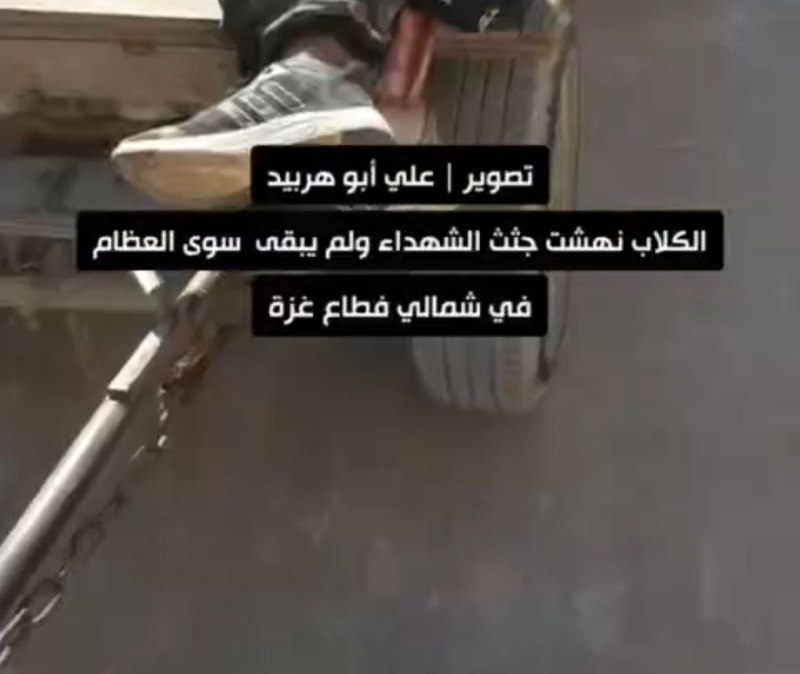 ***?***عادة ما أكتب قصة أو خاطرة