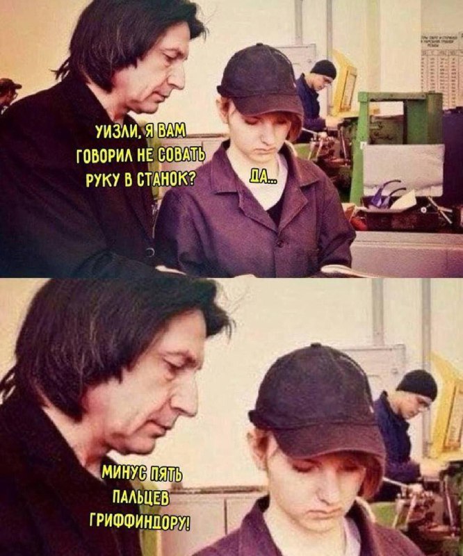 Memes Feed
