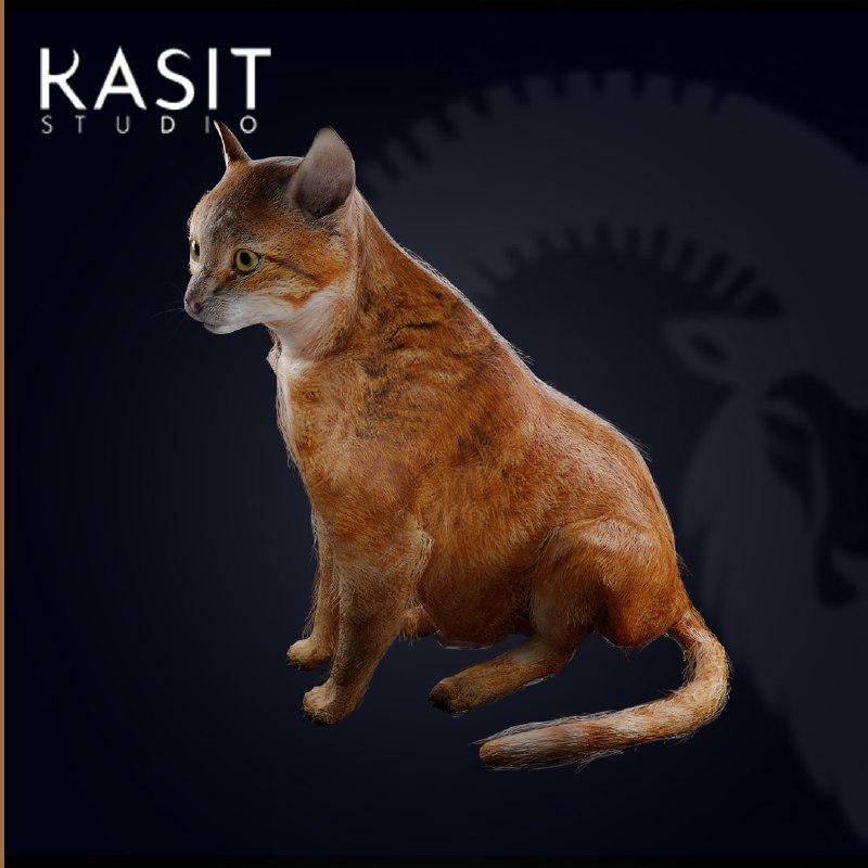 ***🔴***Orange Cat 3D Model