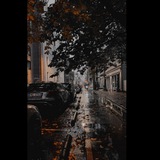 تعالوا هنا