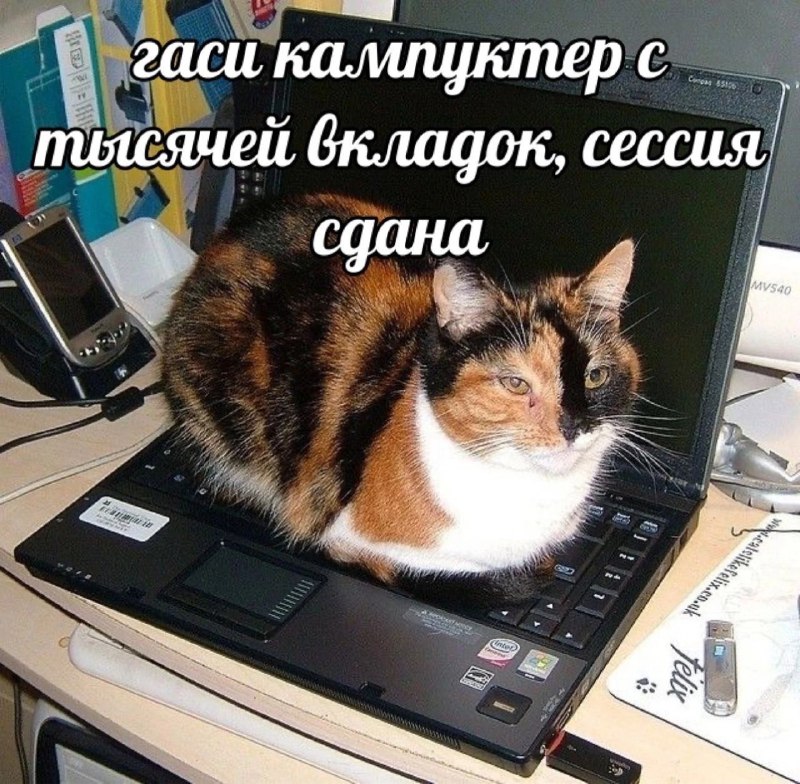 ***🕺******😎******😊******🐱******😌******🐾******🕺***скороо