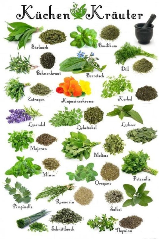 *****💚******🌿*** Jedes dieser Kräuter hat seine …