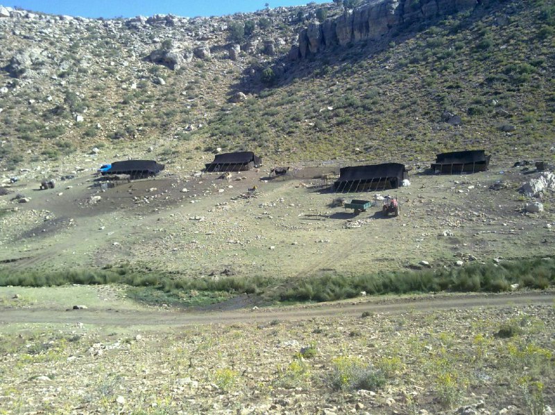 تابستان ۹۵
