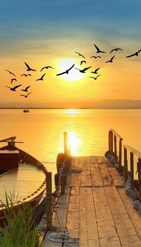 إن الروح تتعذب ، وتتعذب كثيرًا …
