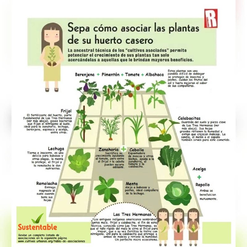 ***🌱*** ¡Descubra los secretos de la …