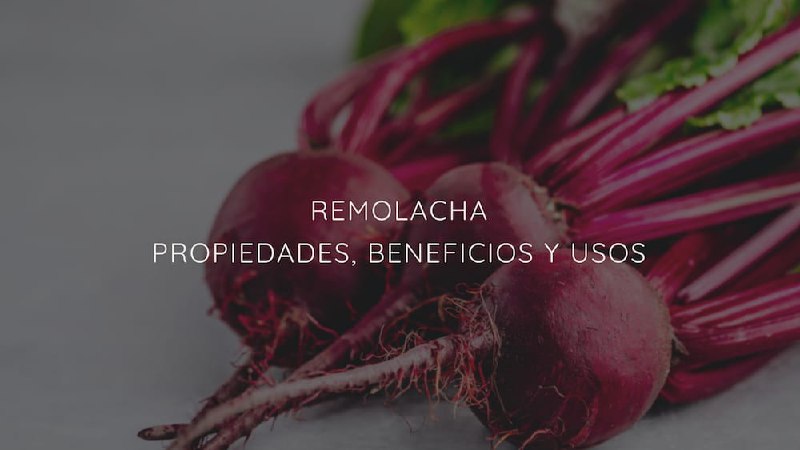 Remolacha: Propiedades, beneficios y usos.