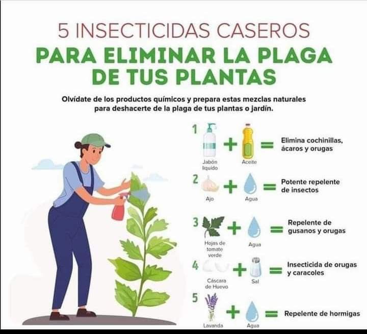 ¡Atención jardineros! ***🌿******🌼*** ¿Cansados de los …