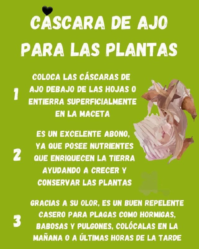 ***🧄******💚*** ¡Transforma tus plantas con la …