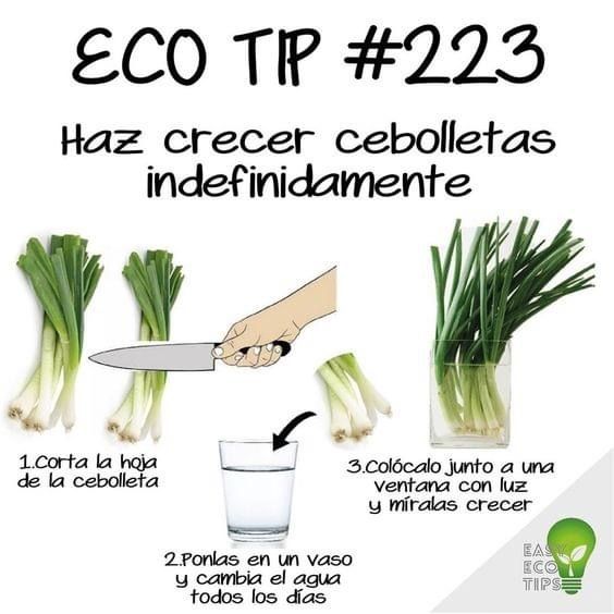 ***🌱*** ***🌿*** ¿Sabías que puedes hacer …