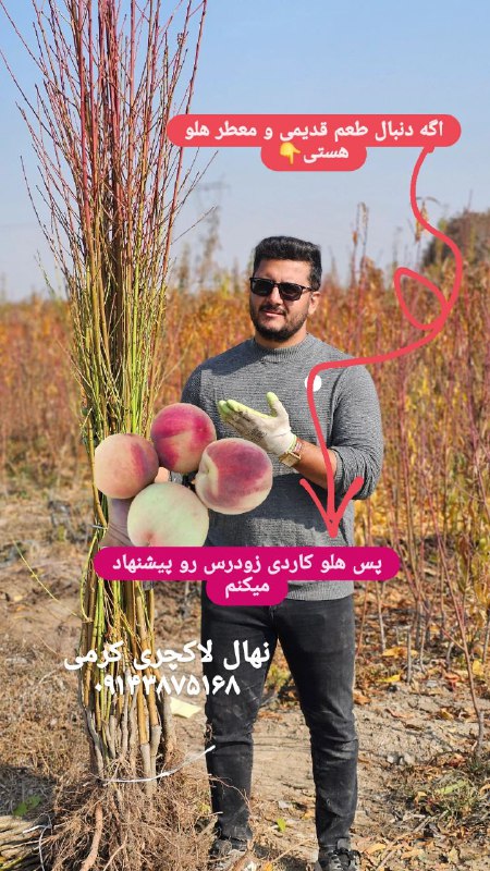 اگه دنبال طعم ایرانی و قدیمی …