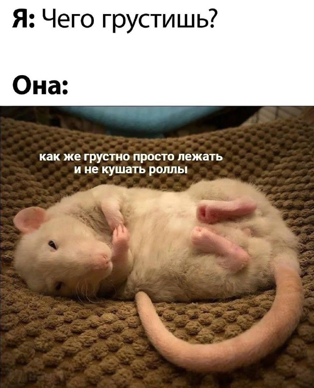 Улыбнуло :D