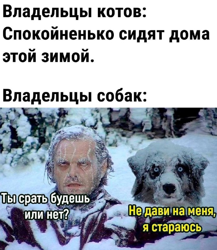 Улыбнуло :D