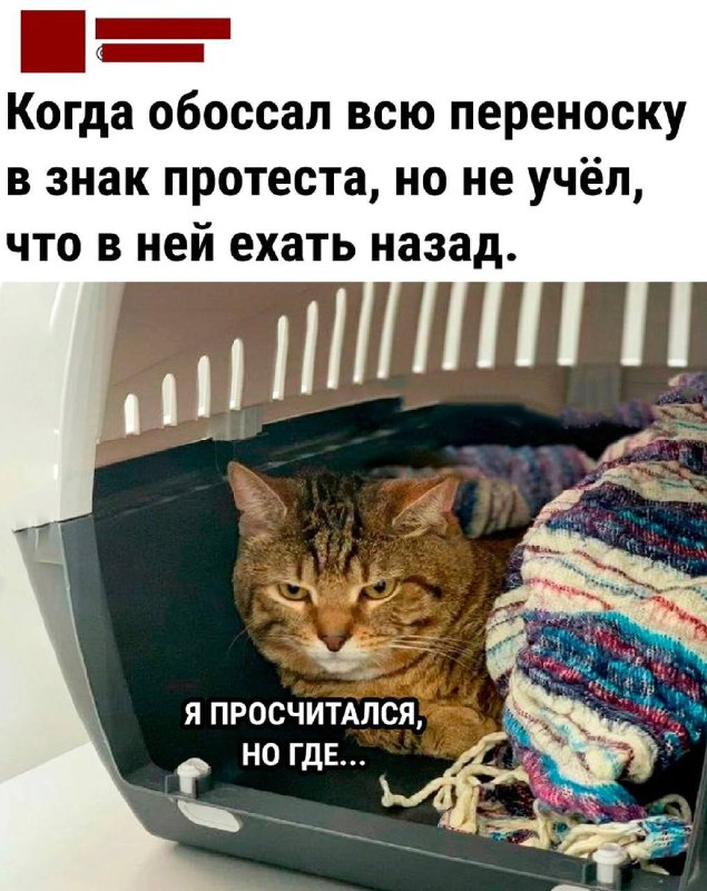 Улыбнуло :D