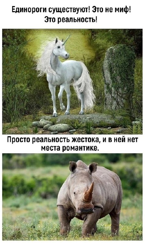 Реальность