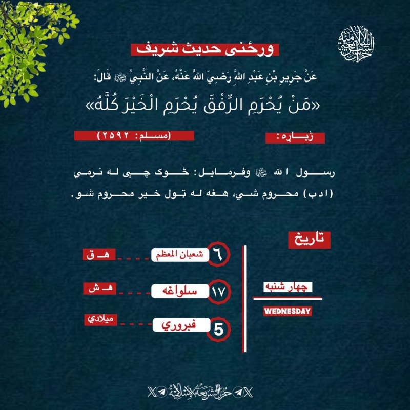 ‏‌#ورځنۍملغلره د ‎[#حراس\_الشریعة\_الاسلامیة](?q=%23%D8%AD%D8%B1%D8%A7%D8%B3_%D8%A7%D9%84%D8%B4%D8%B1%DB%8C%D8%B9%D8%A9_%D8%A7%D9%84%D8%A7%D8%B3%D9%84%D8%A7%D9%85%DB%8C%D8%A9) فکري، کلتوري او …