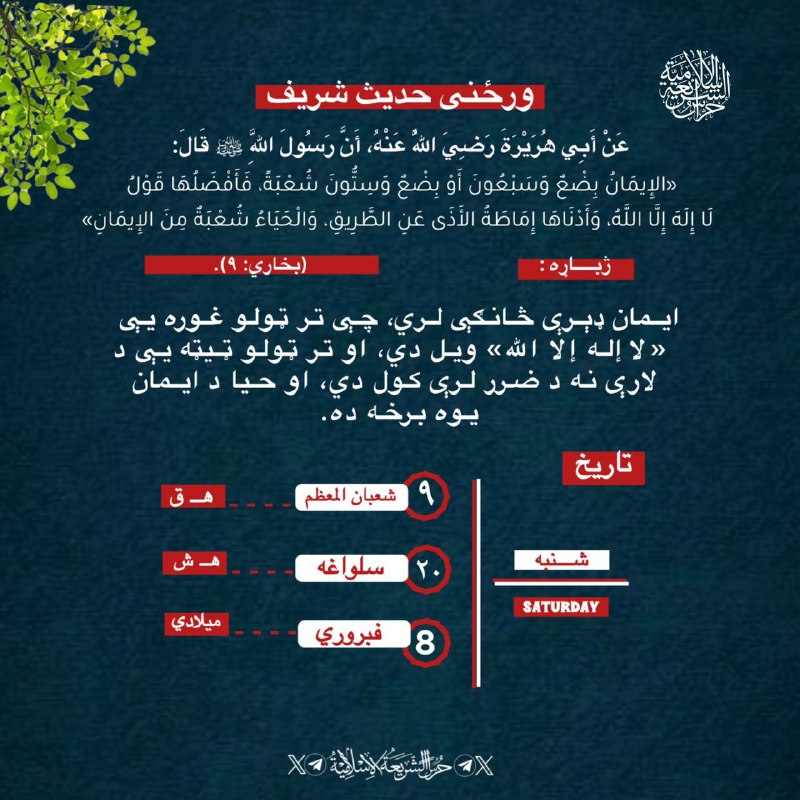 ‏‌#ورځنۍملغلره د ‎[#حراس\_الشریعة\_الاسلامیة](?q=%23%D8%AD%D8%B1%D8%A7%D8%B3_%D8%A7%D9%84%D8%B4%D8%B1%DB%8C%D8%B9%D8%A9_%D8%A7%D9%84%D8%A7%D8%B3%D9%84%D8%A7%D9%85%DB%8C%D8%A9) فکري، کلتوري او …