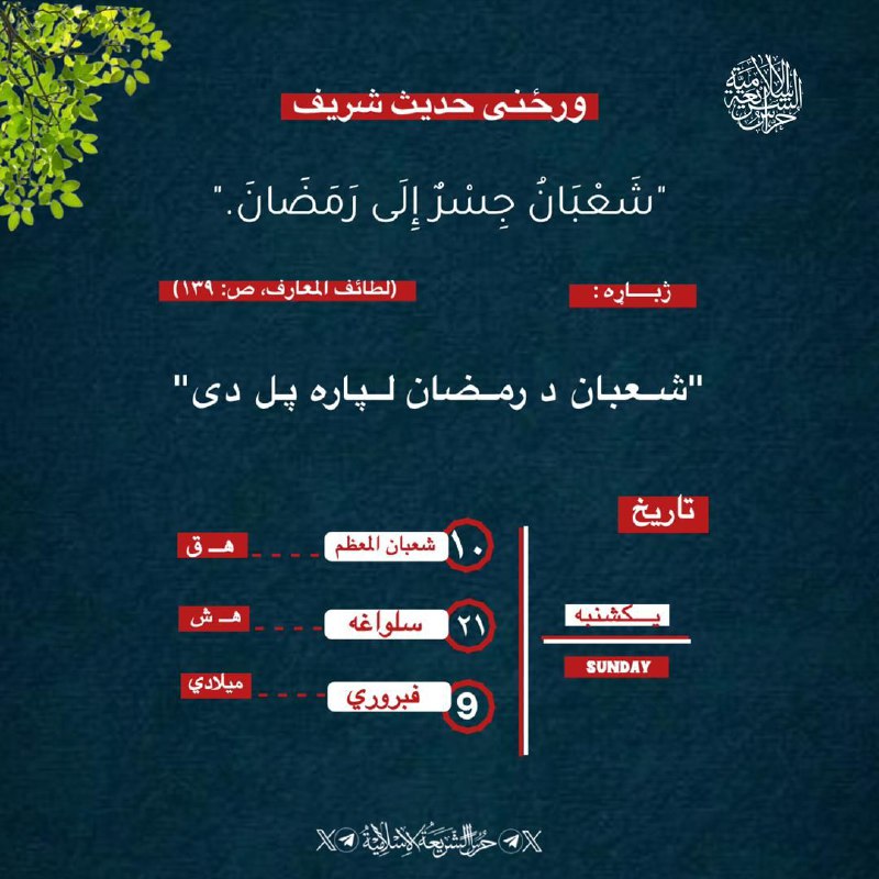 ‏‌#ورځنۍملغلره د ‎[#حراس\_الشریعة\_الاسلامیة](?q=%23%D8%AD%D8%B1%D8%A7%D8%B3_%D8%A7%D9%84%D8%B4%D8%B1%DB%8C%D8%B9%D8%A9_%D8%A7%D9%84%D8%A7%D8%B3%D9%84%D8%A7%D9%85%DB%8C%D8%A9) فکري، کلتوري او …