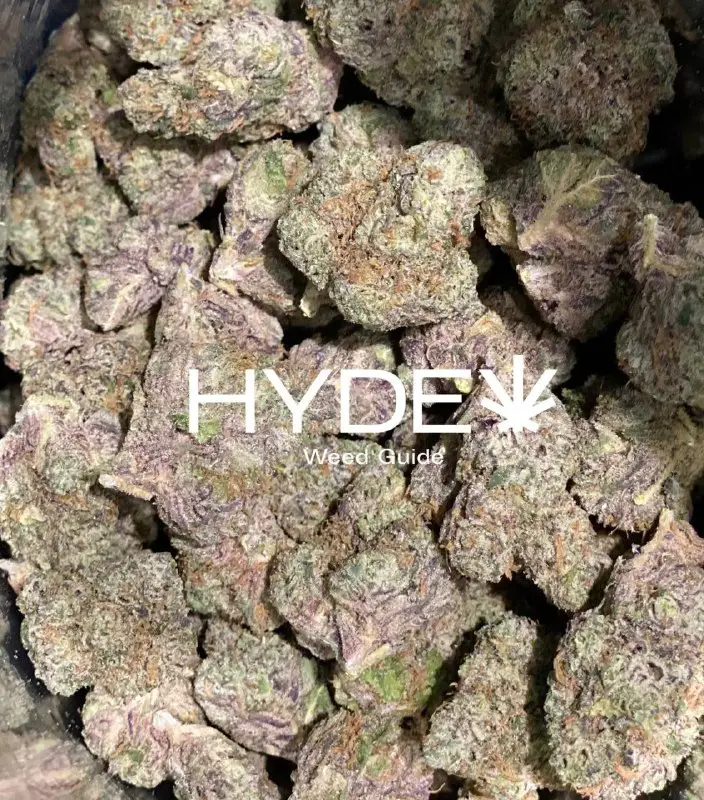 Hyde Weed Shop | Delivery | …