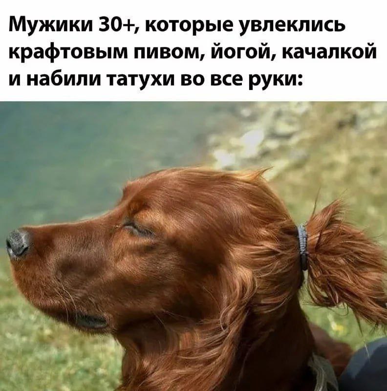 Хуепутало безглазое