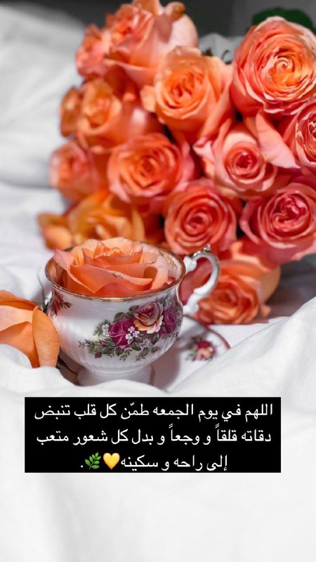 رِضَْـــَا ْالٰله غَايٌـِتْـــــّيَ??