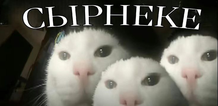 Хайповые котаны
