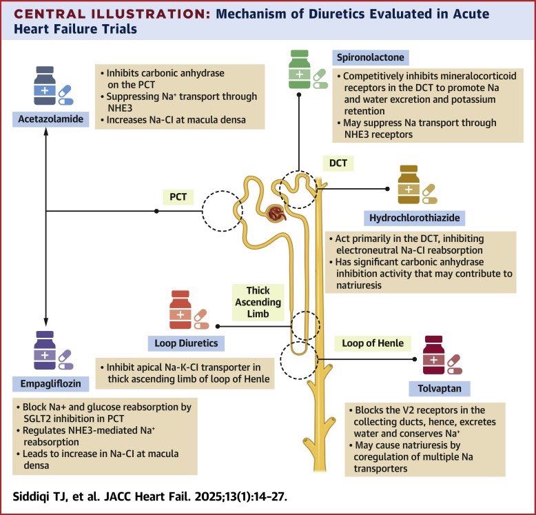 Hypertension Notes