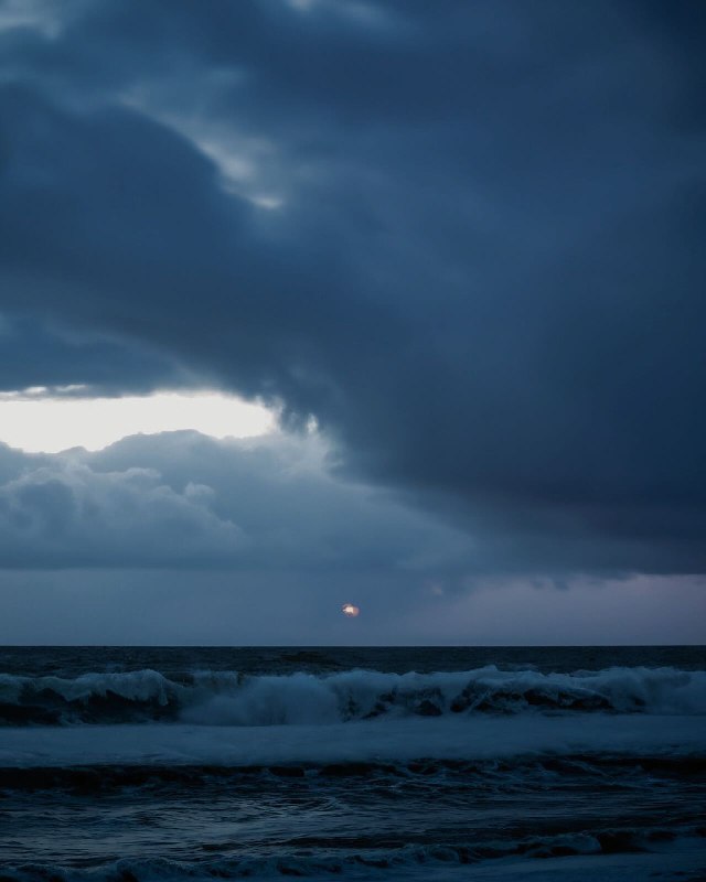 زهْرَة